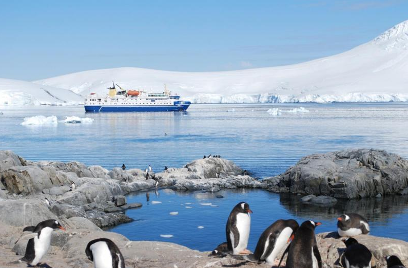 арка в антарктиде. столица антарктиды. дайвинг в арктике. арктика и антарктида. айсберги антарктиды.