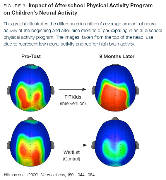 brain gym exercises for autism