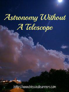 Adelien Tandian tweet media