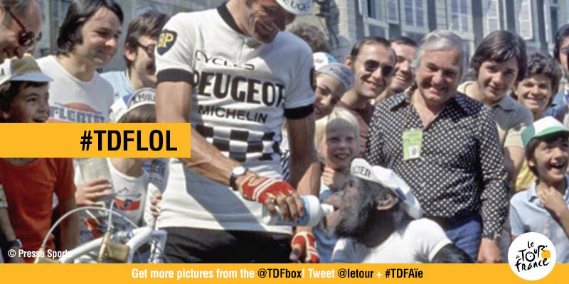 TDFbox's tweet photo. @barrybazzabazF1 here is your #TDFlol picture! Now, try with another #TDF… Your turn to play! http://t.co/WPurcWPiBU