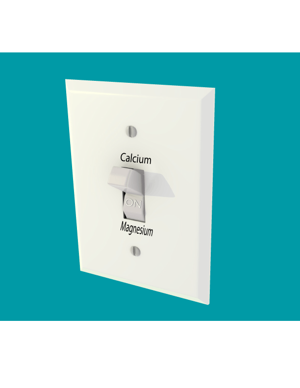 The calcium/magnesium switch, trigger points and excruciating pain bit.ly/1HJ8m4H #triggerpoints