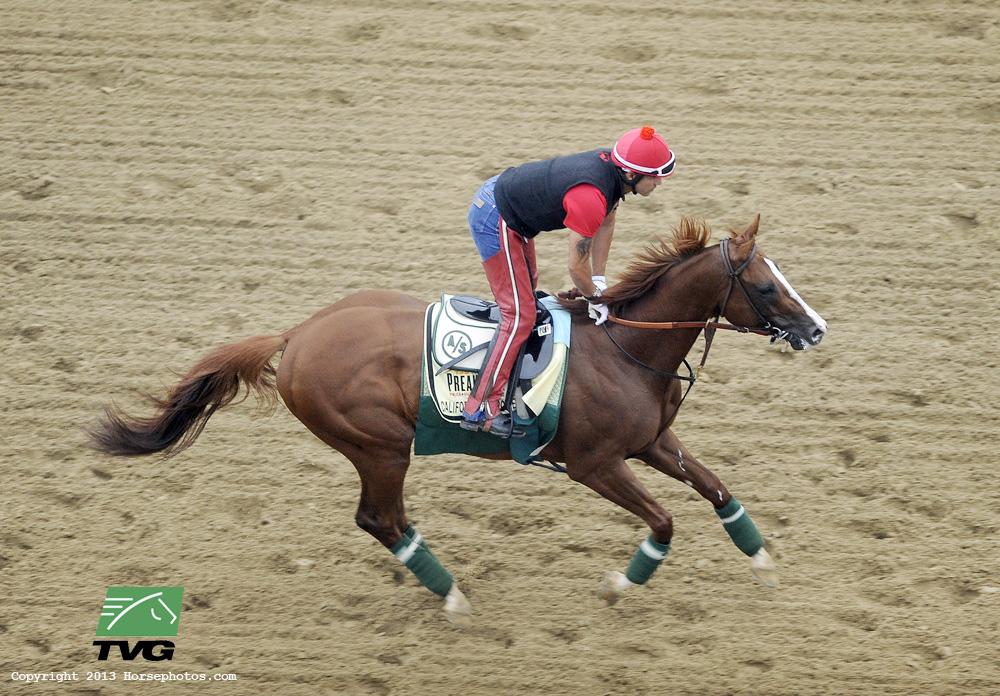 HRTVInsider's tweet photo. California Chrome will race again in 2016! Watch the interview with Art Sherman here: http://t.co/EtkwtBRaan http://t.co/lIiQFURuHK