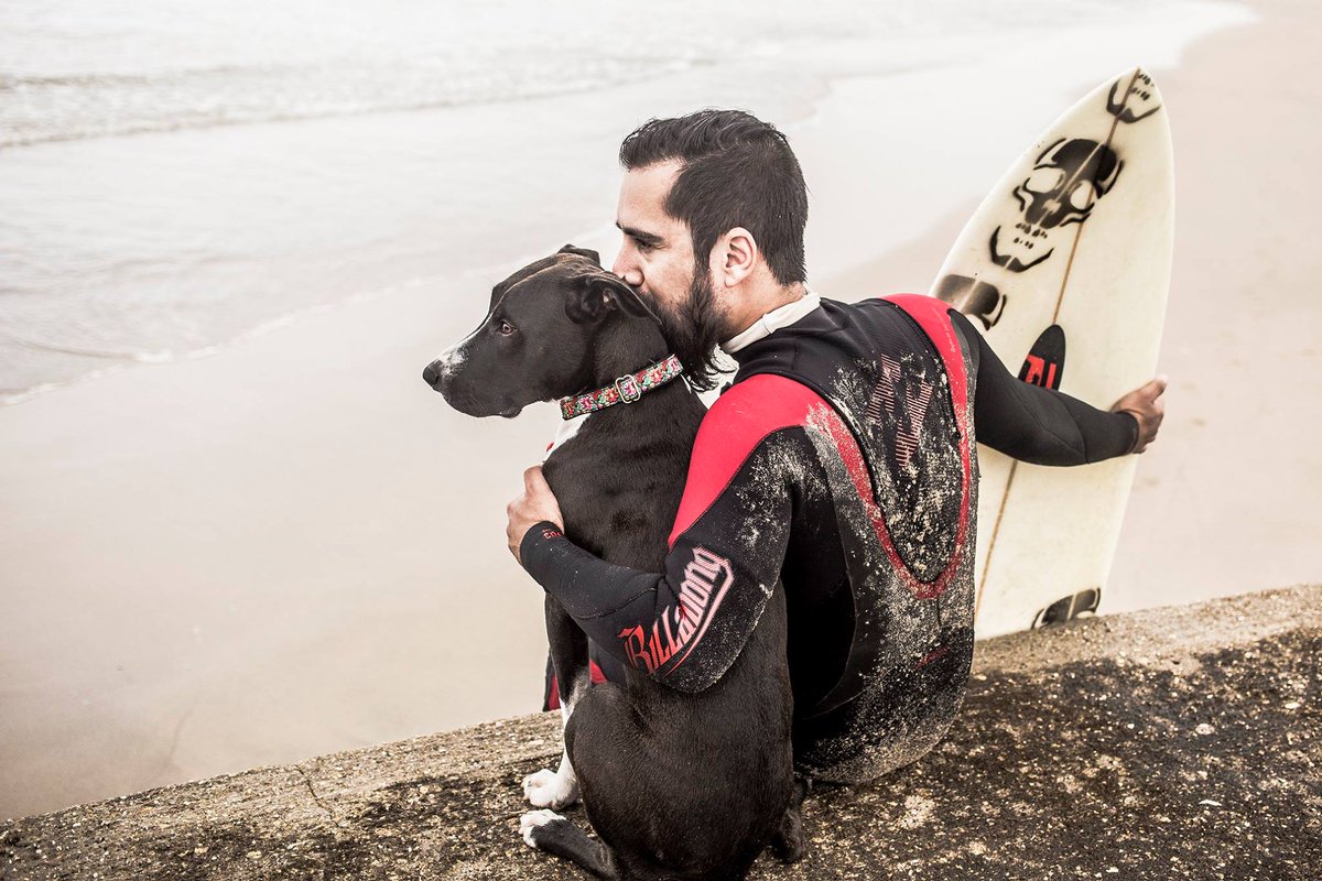 tail_wag's tweet photo. What being a Tail Wagger is really about #surfsup #dogcollar #dogsoftwitter #pitbulls #dogs http://t.co/csAXEANz7t http://t.co/Lb1VzASIa9