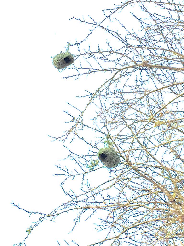 واهم من يظن أن الهندسة للمهندسين فقط!
بيت يقاوم كل الظروف المناخية ومعلق في الهواء!
من #تصويري اليوم في ُقرى #أبها