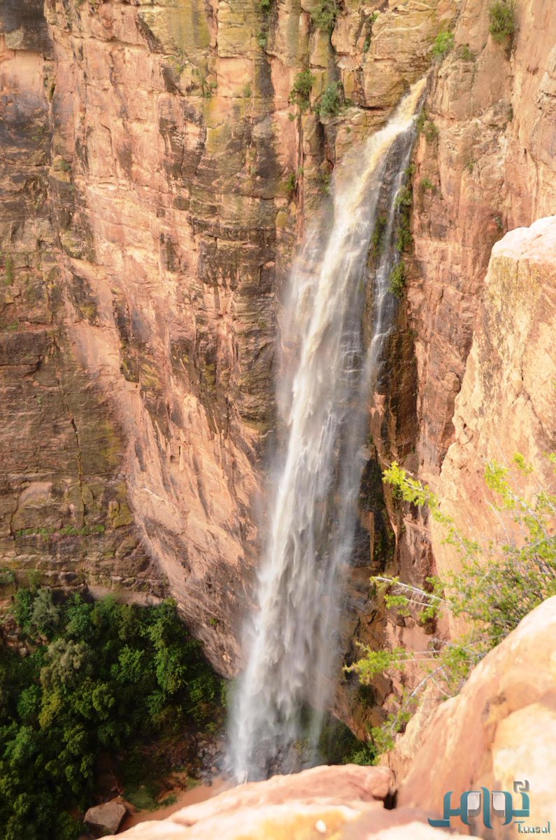 «الحبلة» شلالات منهمرة تستقطب زوار عسير

المزيد من الصور: twasul.info/231352/

#عسير #السعودية