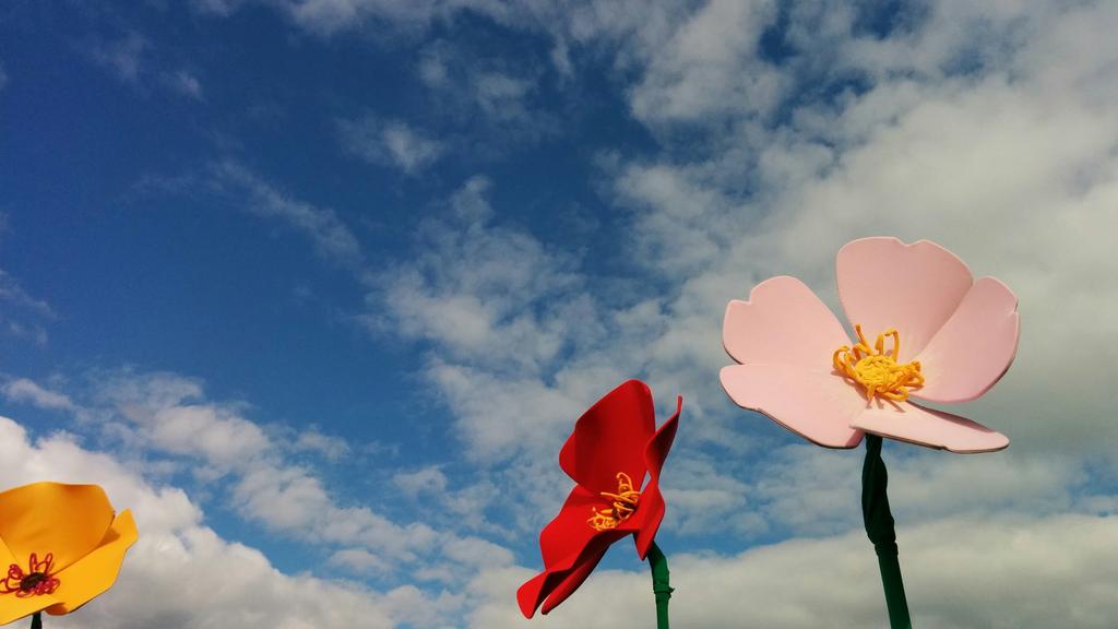 festunderstars's tweet photo. Look we've got #giantflowers & #bluesky . Must be nearly time for #utsf2015. @CloudNineDecor http://t.co/PGwDTMEU2m