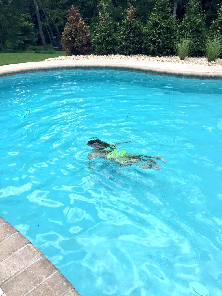 irelandwayt's tweet photo. omg ken is swimming!!!!!!! #firsttimethissummer http://t.co/A16TkGvYZG
