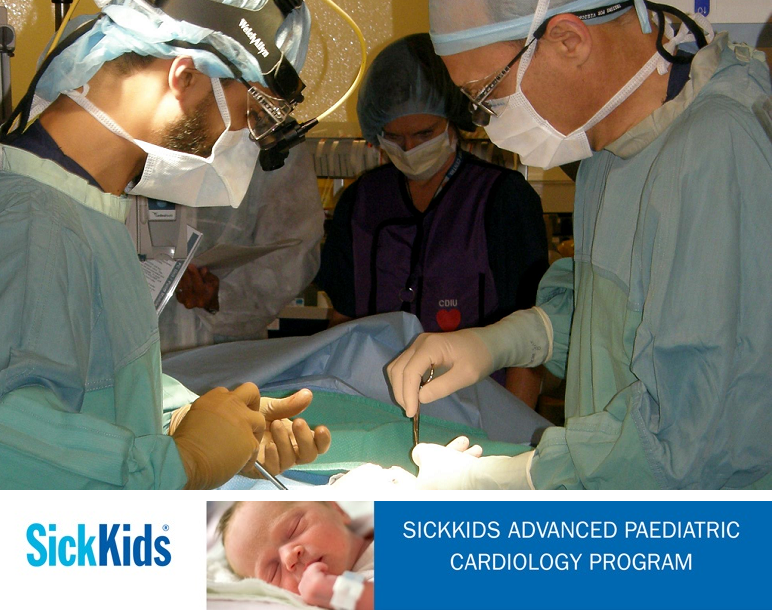 Health-care pros! Check out #LFHeart @UofTNursing accred. #paediatrics #cardiology course! ow.ly/PXftL