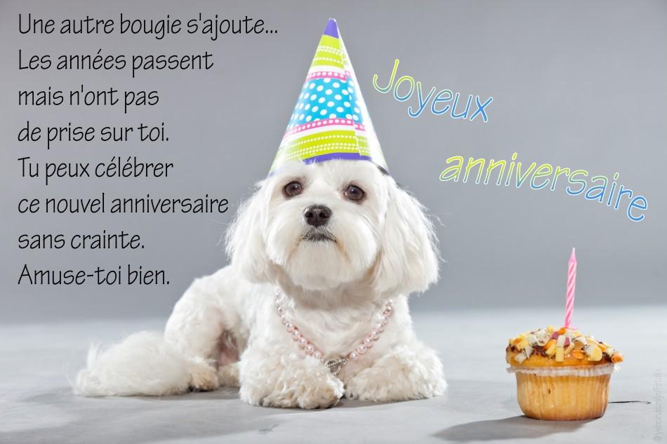 Joyeux Anniversaire Bonjoyeux Twitter