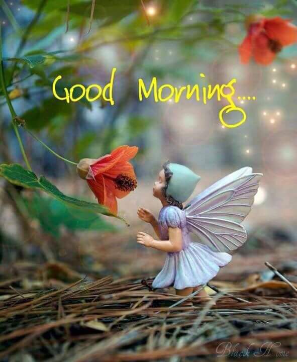 ❤Anim❤❤❤ tweet media