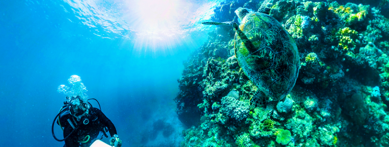 99Rifters's tweet photo. Rapid VR's Great Barrier Reef Experience Coming to Gear VR #vr #rapidvr #gearvr #samsungvr http://t.co/VlYZdL1Xz8 http://t.co/3VB7UdVvKb