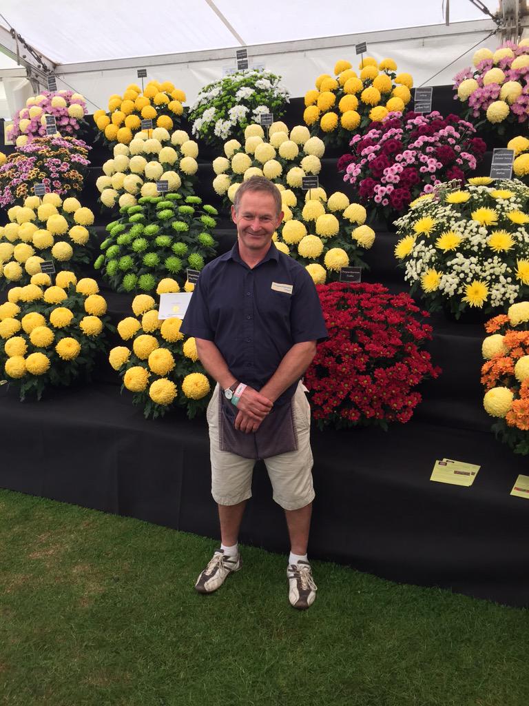 peterhsmithltd's tweet photo. Nice to see our Gold medalist British grower at #RHSTatton today @The_RHS The_RHS #chrysanthemum #incurveblooms http://t.co/8CW65rjvln