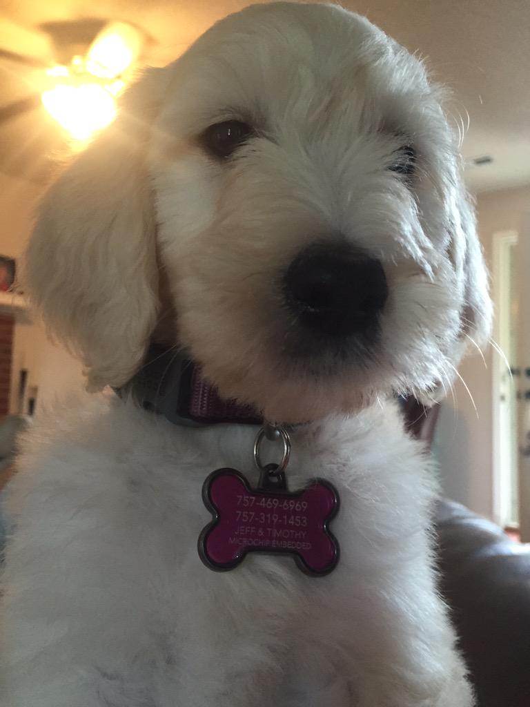 Jeff Slocumb Realtor (SlocumbRealtor) Twitter