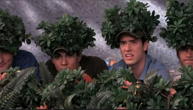 gentlejjk's tweet photo. #GrowingUpLikingBigTimeRush TREE HATS http://t.co/ESCwY5Hkxn