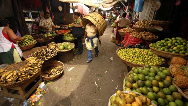 teleSURtv's tweet photo. América Latina produce alimentos suficientes para autoabastecerse | http://t.co/TrPl8oa2wu http://t.co/EKx6SNBB2g