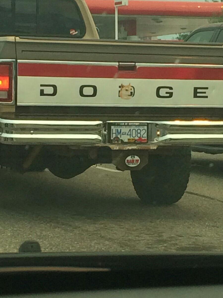 scottclark's tweet image. #muchwin #doge