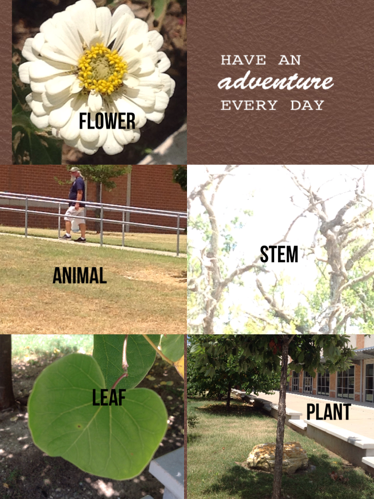 BellesClass's tweet photo. learning to create adventure for my class #LISDelemscience http://t.co/CPN59aO0WG http://t.co/9HL3px7vFy