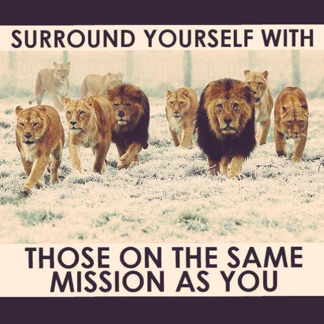 tiffanydbarrett's tweet image. @shannonlharmon @herbie349 #sasdchat