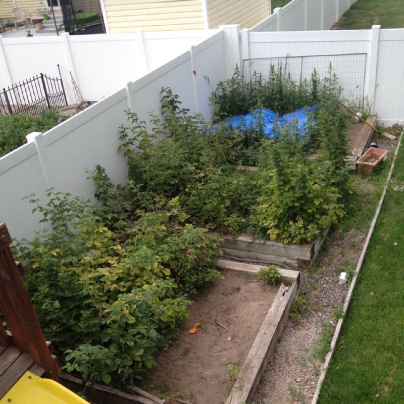 ccinderella12's tweet photo. #GrowGardensNotLandfills #Ecoscraps http://t.co/8anPR1Jcsb