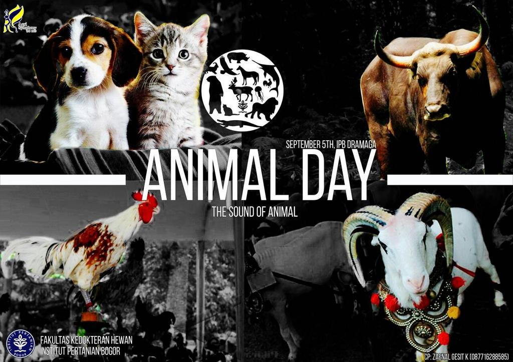Animal Day tweet media