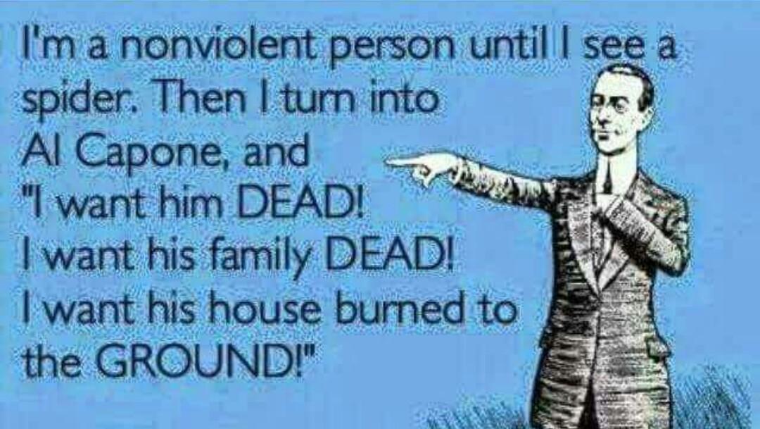 Dippydora21534's tweet photo. So true and not extreme at all....#evilspiders http://t.co/1h5x6mXhE6