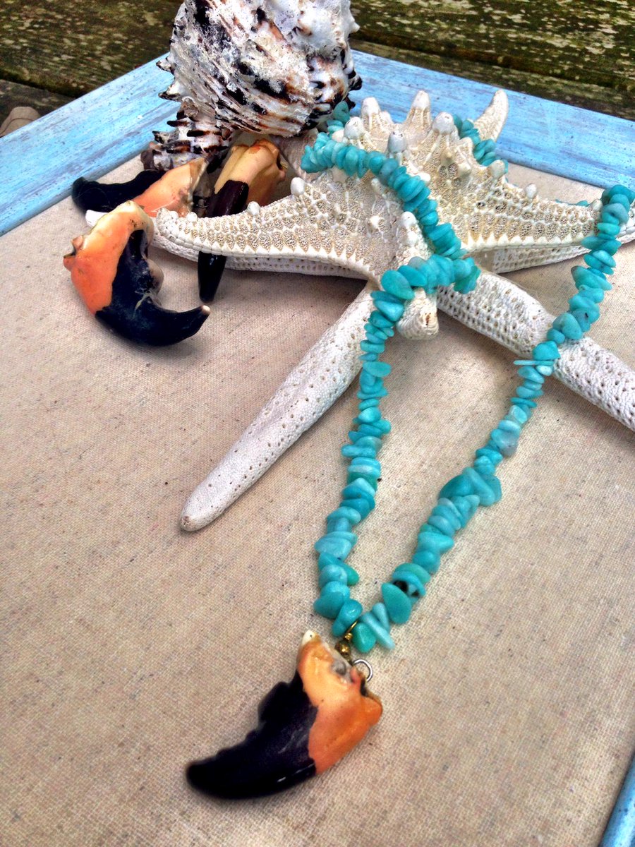 beazy_'s tweet photo. #bluecoral #madeinUSA #stonecrab #intracoastal #oneclaw #handmade #summer #oneofakind http://t.co/8S61TxpKRg
