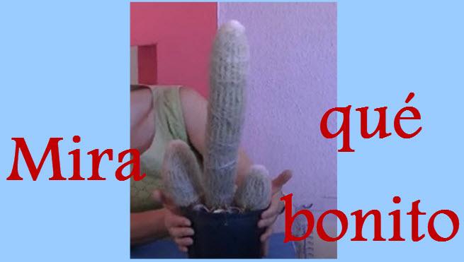 Una poción mágica y legendaria, ayuda de amas de casa 
youtu.be/p2nNoqLAhFI