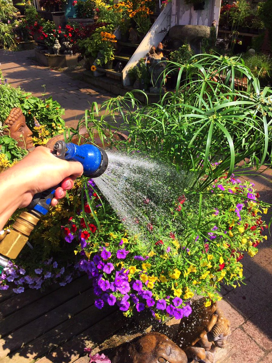 No watering the lawn at all, Vancouver! However you can still water your gardens as long as it is done by hand!