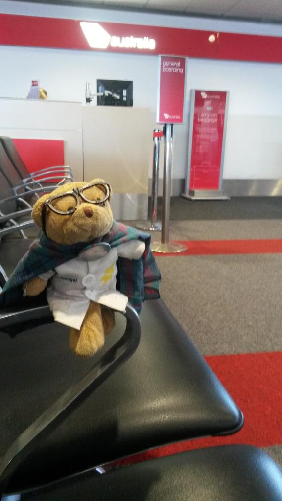 clareifications's tweet photo. Barry the #libearian is on the way to #nls7 GLAMRous adventures in Sydney! http://t.co/FVh2tEFpuS