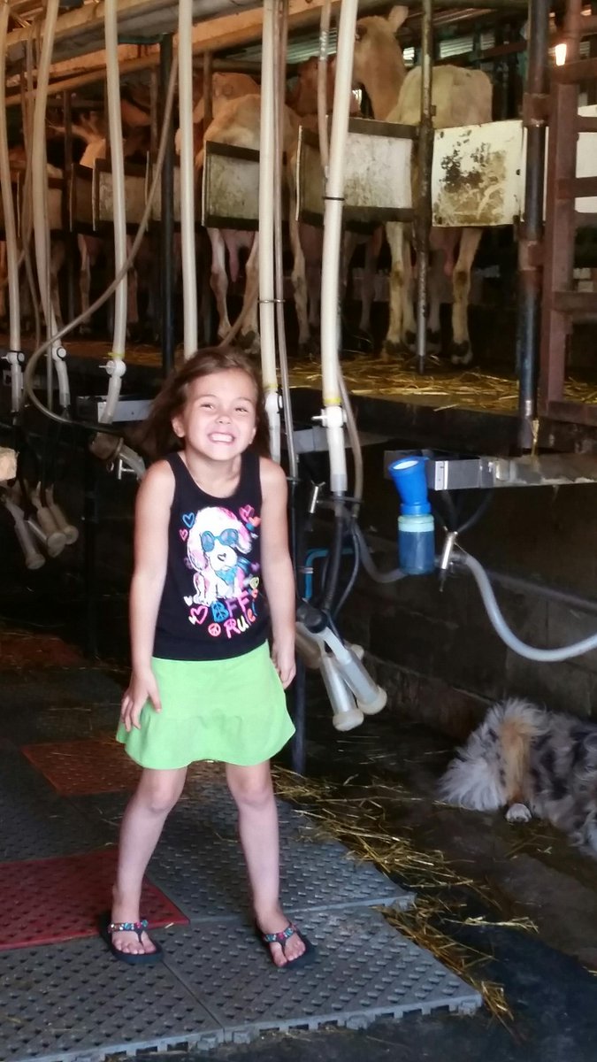 FunOnFarm's tweet photo. My granddaughter so excited to milk the goats.#funonfarm Shedule your farm tour today. http://t.co/82pAoMHsjI