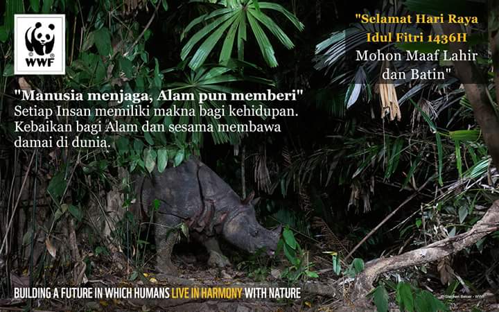 WWF_ID's tweet photo. Masih dalam suasana fitri, mari kita selalu ingatkan diri kita untuk berbuat baik kepada lingkungan. #Lebaran #1436H http://t.co/UWzud8jt6j