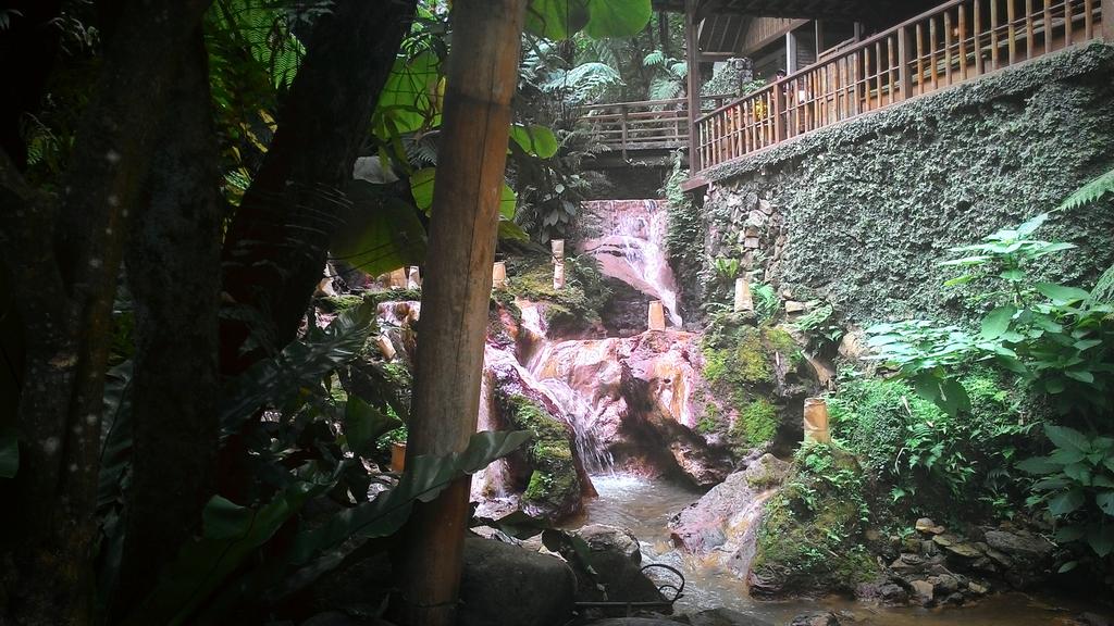 DimasPredator's tweet image. 