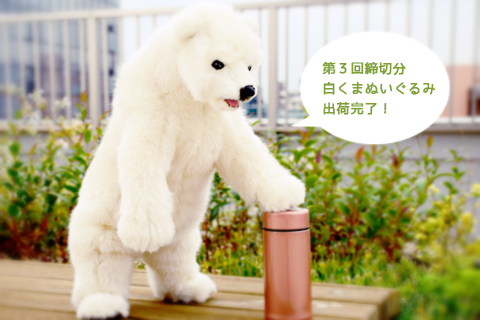 白くま発送完了！】本日、第3回締切分の白くまぬいぐるみすべての発送