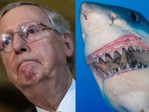 HuffPost's tweet image. Climate change denials make more sense as ‘Sharknado 3’ reviews huff.to/1HKkRNp