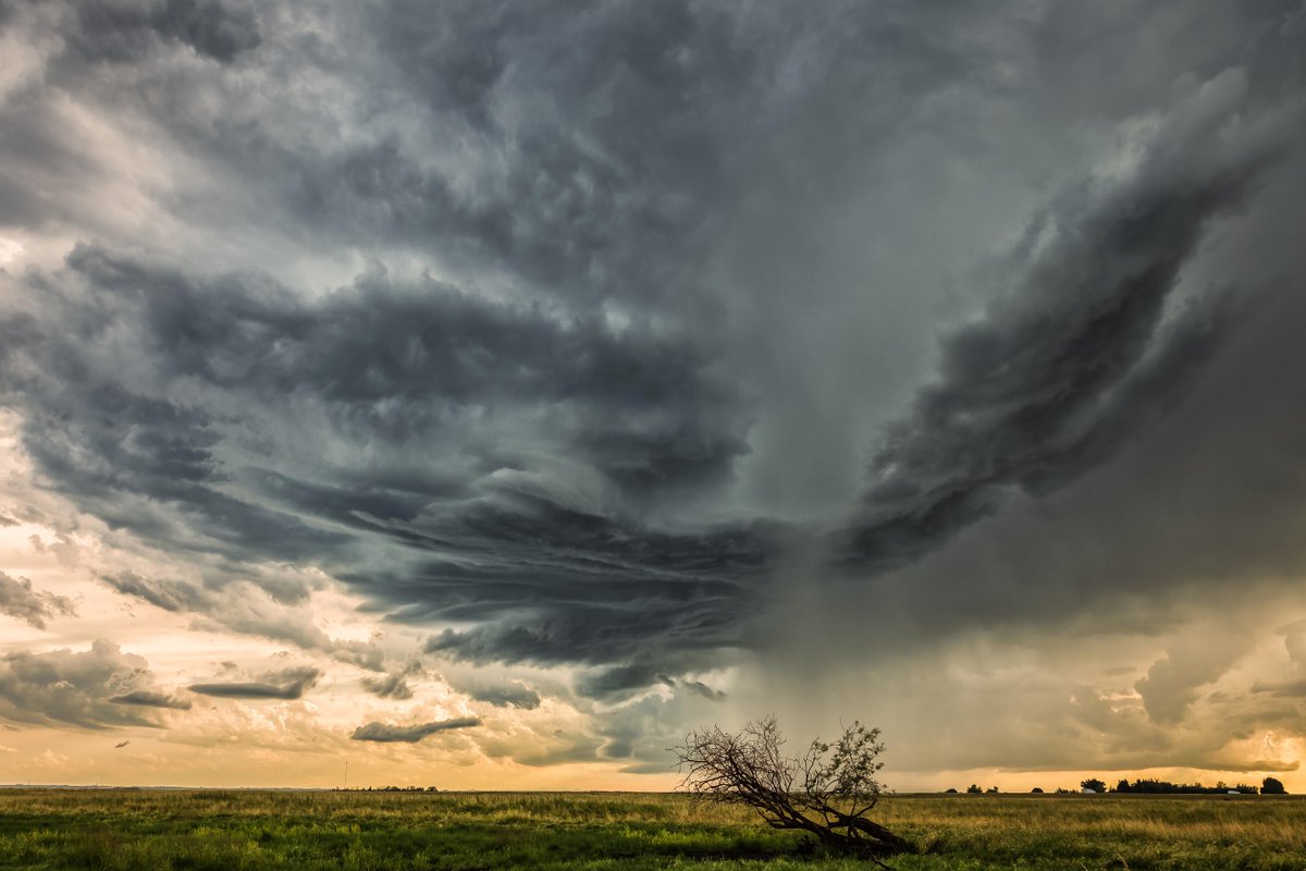 TwistedChaserWX's tweet photo. A collection of shots from the evening of July 21 near Crossfield #abstorm @weathernetwork @reedtimmerTVN http://t.co/VBPGEVWhn3