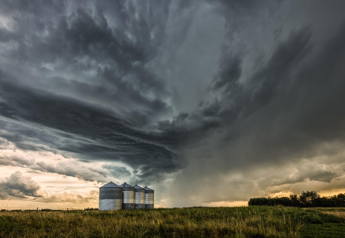 TwistedChaserWX's tweet photo. A collection of shots from the evening of July 21 near Crossfield #abstorm @weathernetwork @reedtimmerTVN http://t.co/VBPGEVWhn3