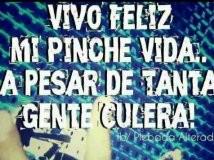 AlexsandesLira's tweet photo. Asi es http://t.co/ew9QPwS3Ej