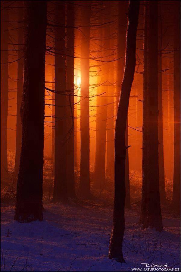 GuardianHall's tweet image. Today is the tomorrow you worried about yesterday