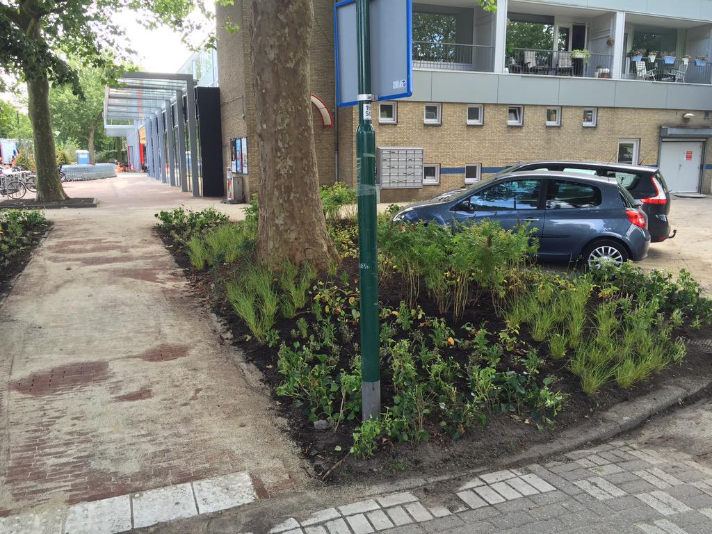 Mereveldplein , beplanting bijna gereed .