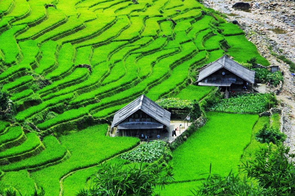 Nam Phong ( G Adventures ) tweet media