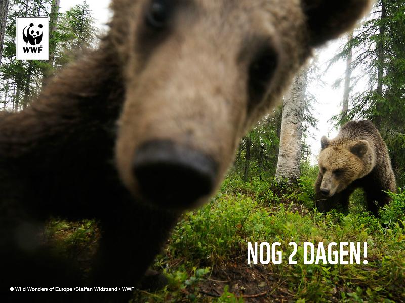 Heb jij je stem voor de Europese natuur al gegeven? Het kan nog 2 dagen! go.wnf.nl/p4riuk