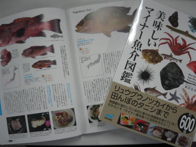 マイナビブックス 先行予約は本日まで 7 31発売 美味しいマイナー魚介図鑑 本書で紹介するマイナー 魚は約600種 3ページと大ボリュームの読んで楽しい図鑑です ポストカードの特典つき予約は本日まで Http T Co Utcweqq1gm Http T Co Yhhiptcqbe マイナビブックス 先行予約は本日まで 7 31発売 美味しいマイナー魚介図鑑 本書で紹介するマイナー 魚は約600種 3ページと大ボリュームの読んで楽しい図鑑です ポストカードの特典つき予約は本日まで Http T Co Utcweqq1gm Http T Co Yhhiptcqbe
