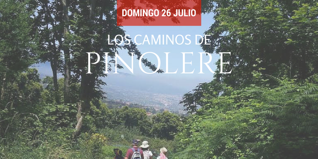 Senderismo e historia se unen en esta ruta por #Pinolere  #LaOrotava buff.ly/1LF1asX Info en 664288019