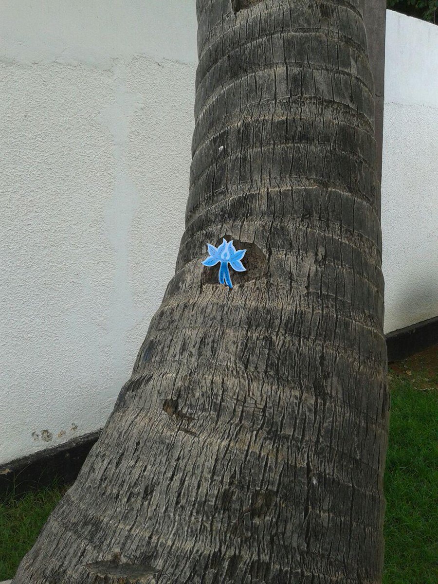 WhichFlowerAreU's tweet photo. #WhichFlowerAreYou in #Tanzania #flower #peace http://t.co/rbGDutjQVn