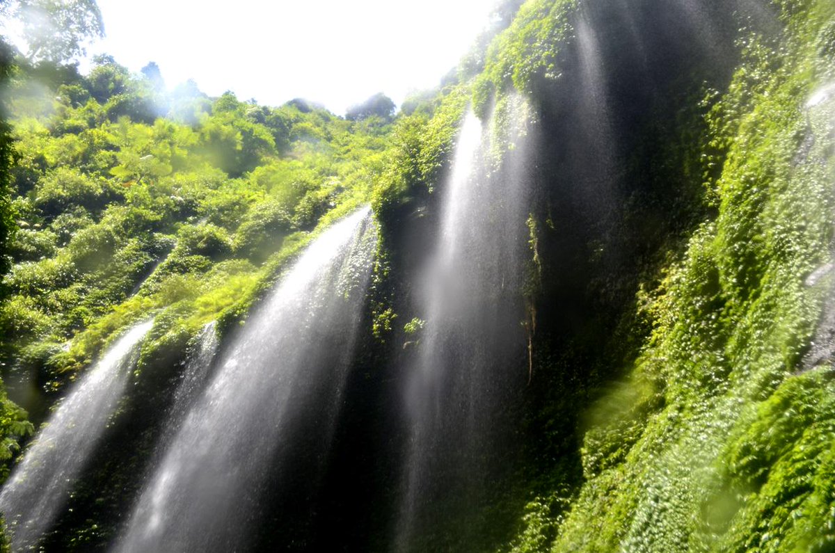 Air Terjun Madakaripura - AnekaNews.net