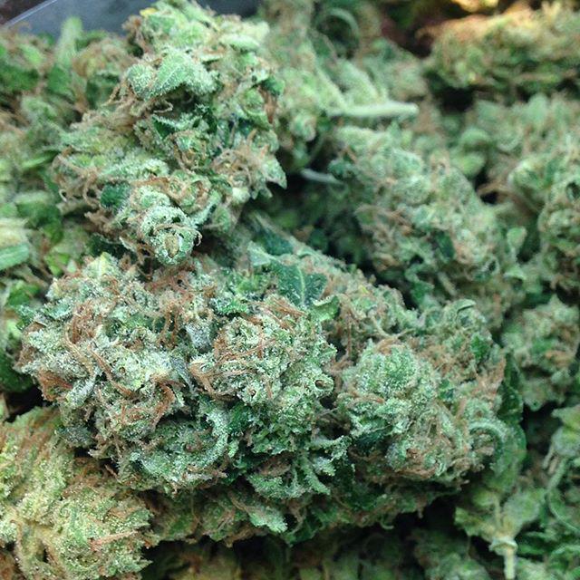 weedpraylove's tweet photo. Fresh drop of Sour Diesel from @kanelokefarms 26% THC. One of our favorites! Great work! ⛽️⛽️ #ommp #ommponly #oreg… http://t.co/ioFfaWj94O