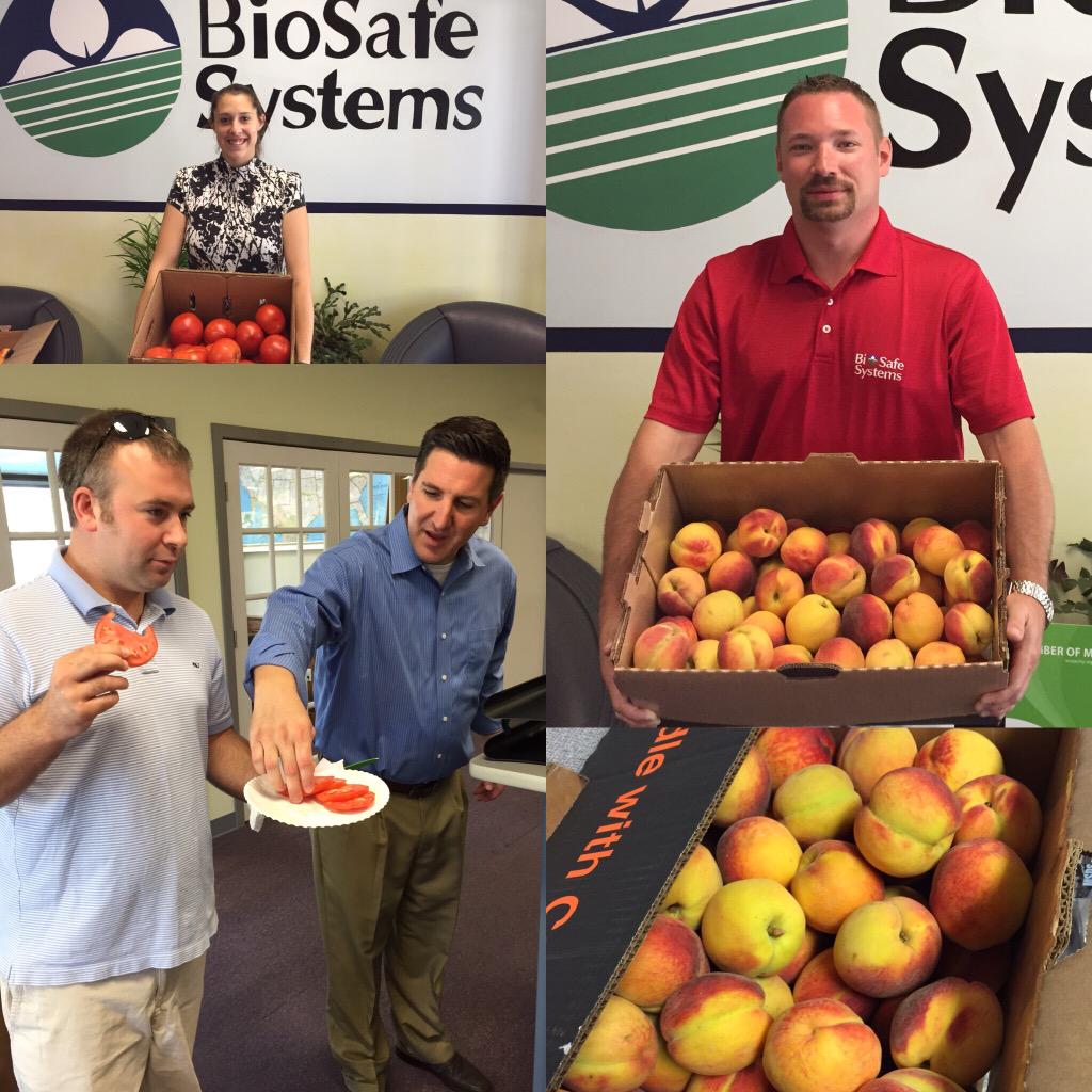 BioSafe_Systems's tweet photo. Another reason why we love what we do, fresh produce! #agriculture #oxidate #sanidate #grownintheusa @abdenino 🍅🍑🇺🇸 http://t.co/FnQvddRw5A