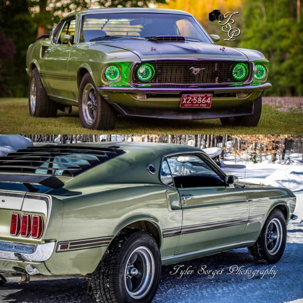 worldofstangs's tweet photo. Tag #WorldofStangs & Follow Us 👇
✔Facebook: WorldofStangs
✔Twitter: WorldofStangs
✔Google+: WorldofStangs
🌎 #Mustang http://t.co/RUwrPLUDe9