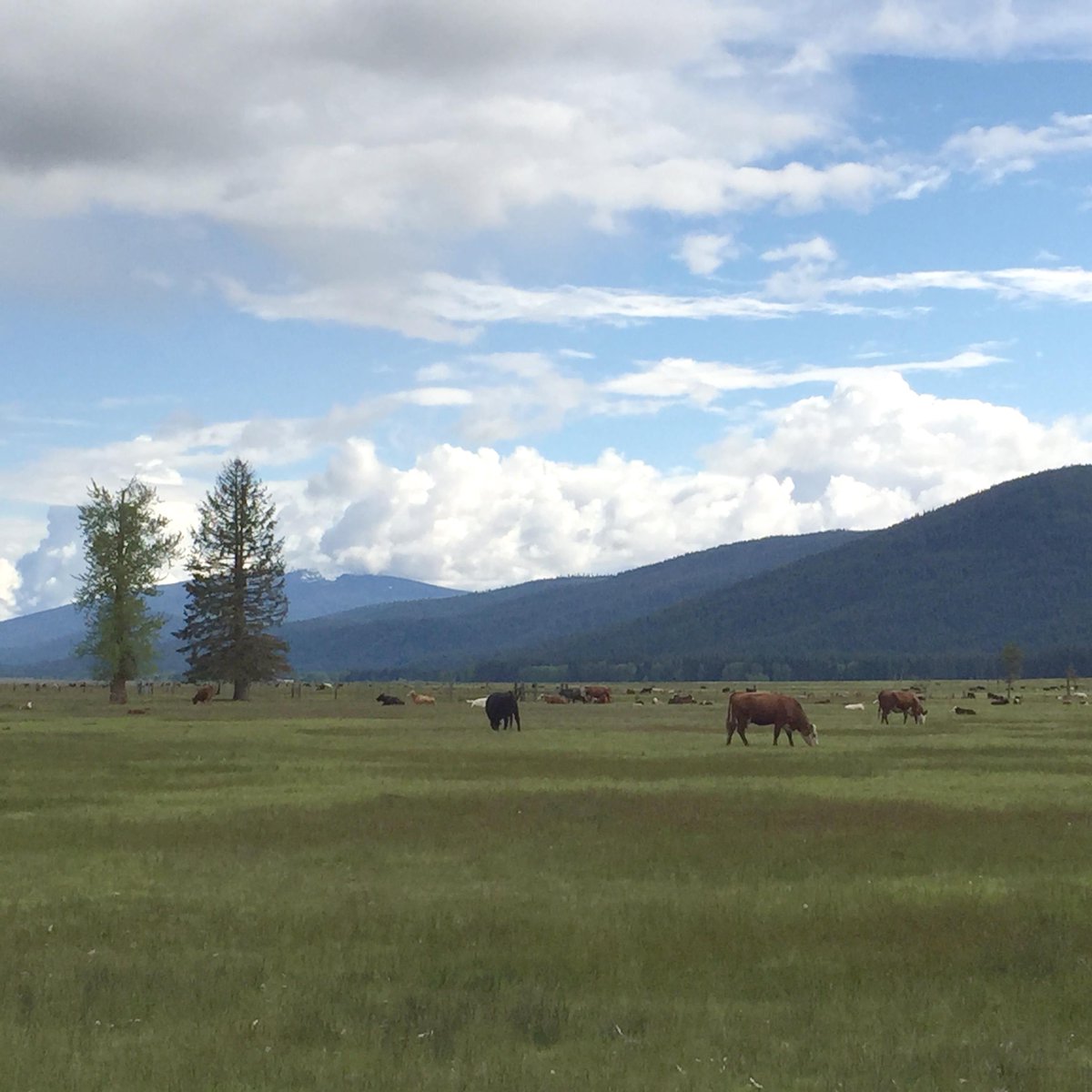 CalOreLocal's tweet image. Got great photos from the area? Enter the #CalOreLocal photo contest for a chance to win. bit.ly/CalOreLocal