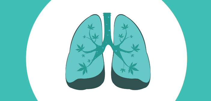 curatedcannabis's tweet photo. Studies Show States with #MMJ See Dramatic Decline in #Opiate Related Deaths - http://t.co/RI0ocDBo21 @1620News http://t.co/IMECAmZ5O4